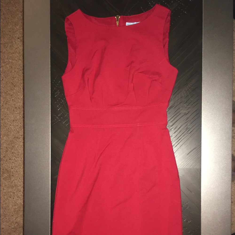 Business Dress